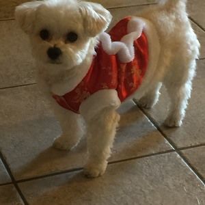 Meet your Posher, Mandy